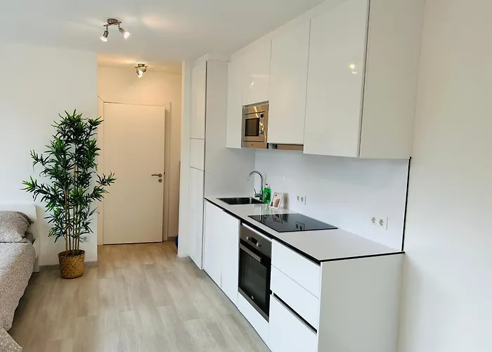 Modern Premium With Balcony & Free Parking فيينا